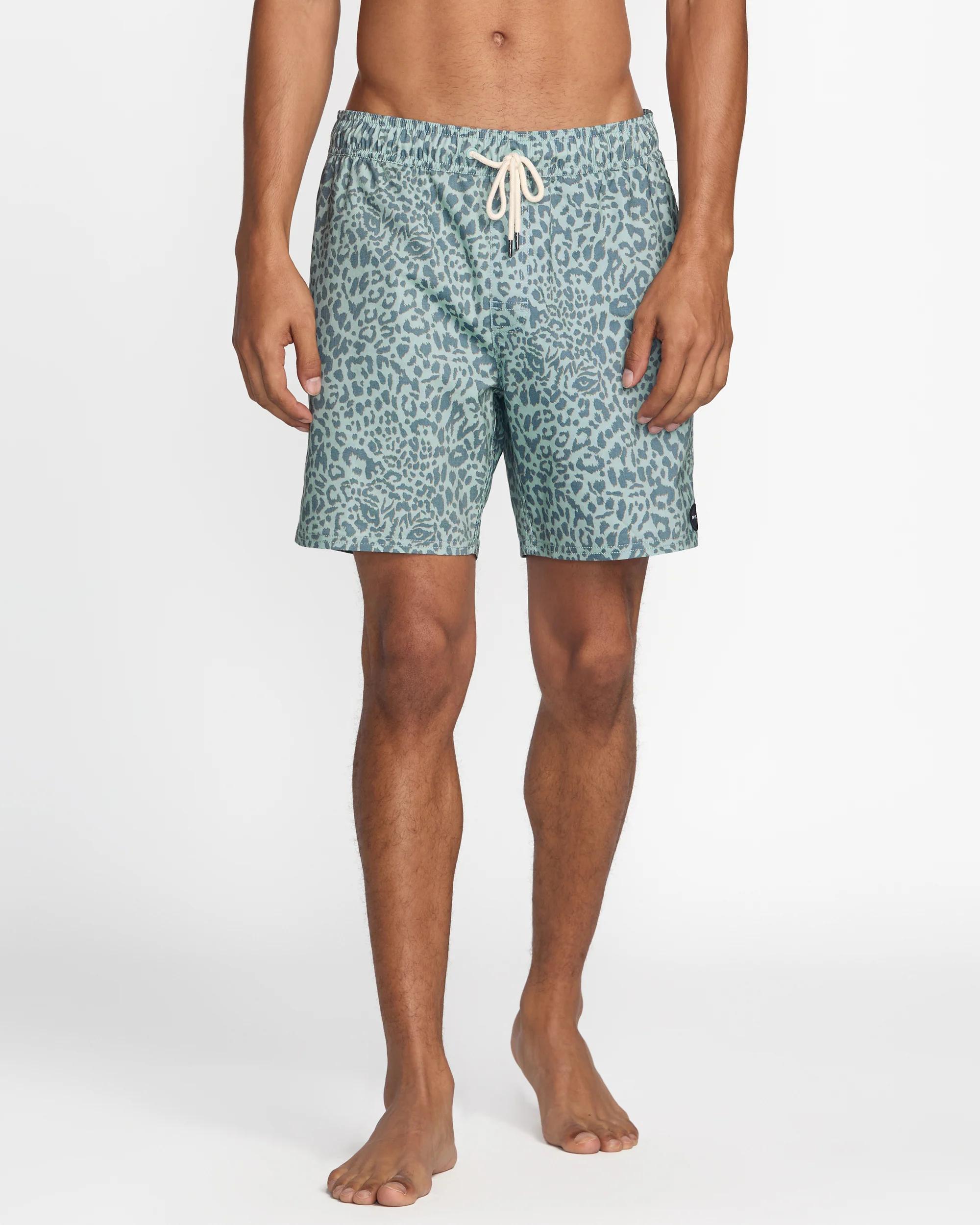 Barnes Elastic Short 17" Swim Trunk